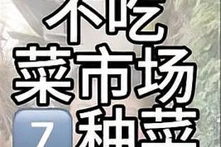 天空：西汉姆与北西兰谈判，希望约1500万镑签易卜拉欣-奥斯曼